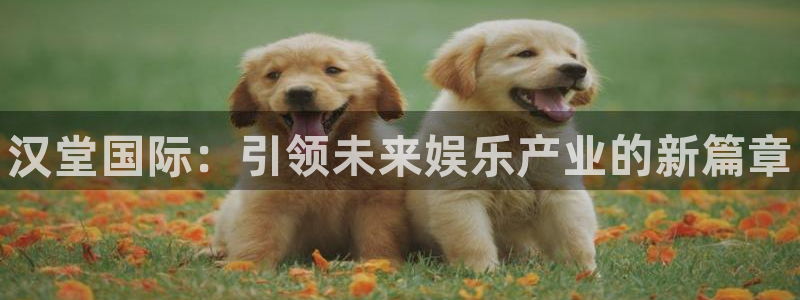 手机版杜邦娱乐客户端下载：汉堂国际：引领未来娱乐产业的新篇章