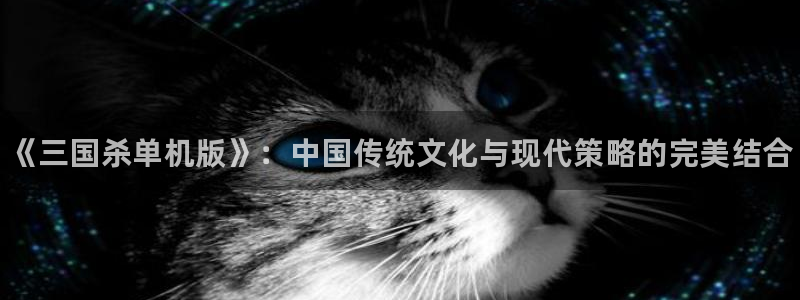 杜邦娱乐测速：《三国杀单机版》：中国传统文化与现代策略的完美