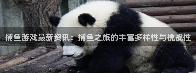 杜邦娱乐登陆测速：捕鱼游戏最新资讯：捕鱼之旅的丰富多样性与挑
