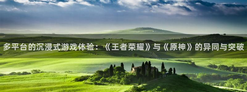 杜邦娱乐登陆：多平台的沉浸式游戏体验：《王者荣耀》与《原神》