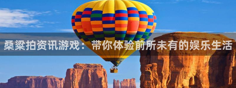 杜邦娱乐咨询