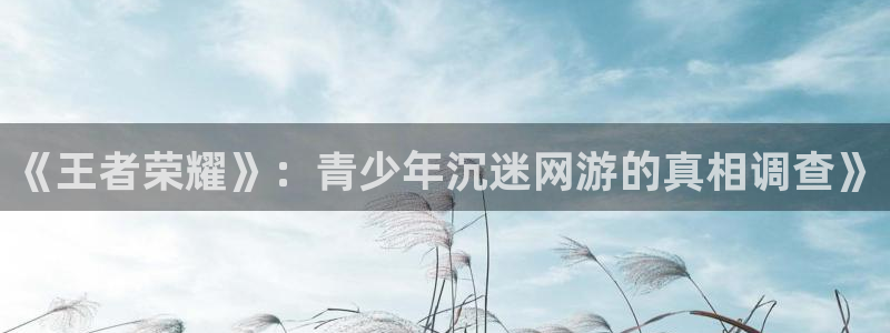 杜邦娱乐登陆：《王者荣耀》：青少年沉迷网游的真相调查》
