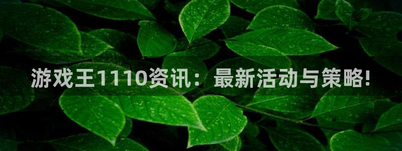 杜邦娱乐网页登录入口：游戏王1110资讯：最新活动与策略!
