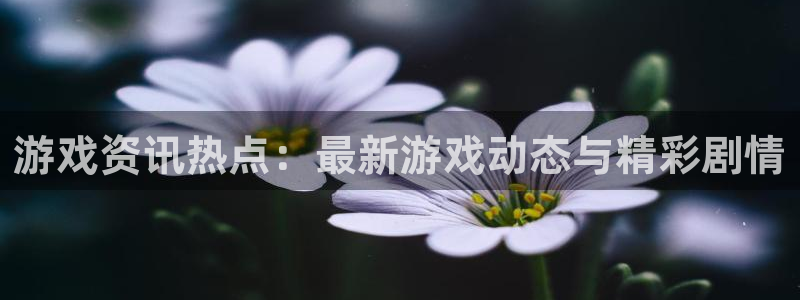 杜邦娱乐官方登录网址：游戏资讯热点：最新游戏动态与精彩剧情