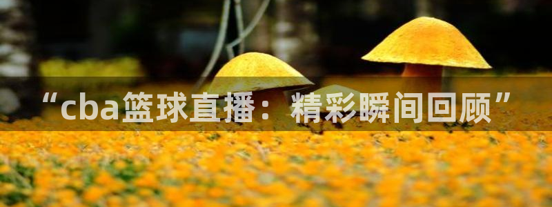 球友直播官网：“cba篮球直播：精彩瞬间回顾”