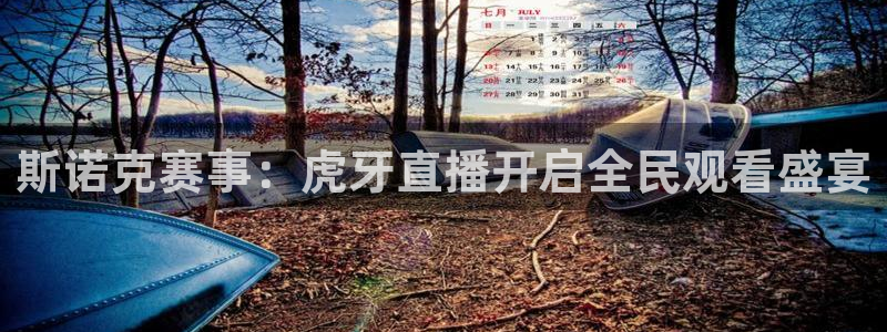 qy球友会体育网址：斯诺克赛事：虎牙直播开启全民观看盛宴