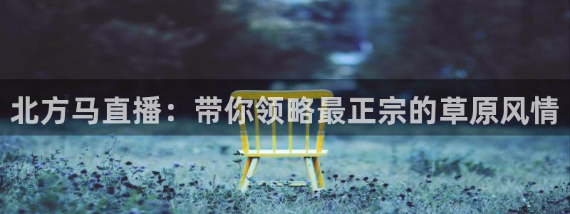 球友体育直播在线观看：北方马直播：带你领略最正宗的草原风情