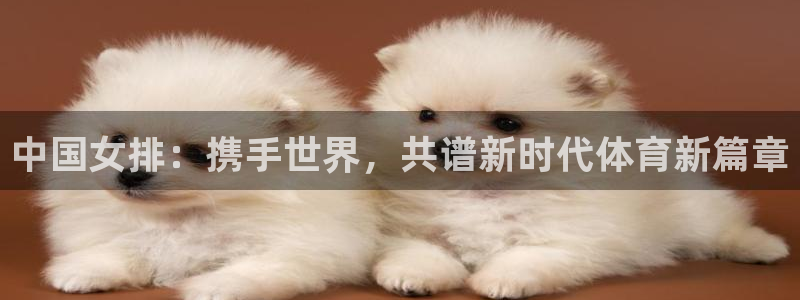 球友体育免费下载：中国女排：携手世界，共谱新时代体育新篇章