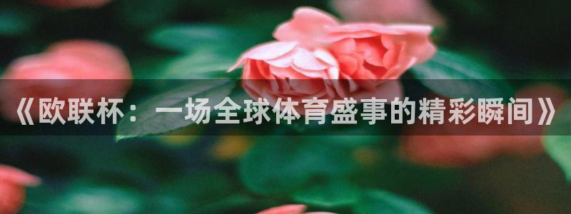 球友nba直播：《欧联杯：一场全球体育盛事的精彩瞬间》