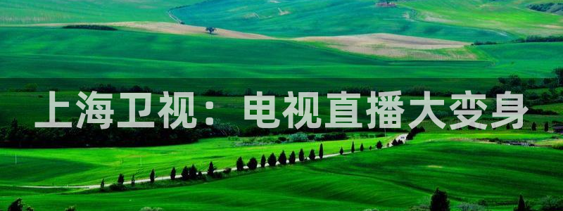 球友体育直播在线观看：上海卫视：电视直播大变身