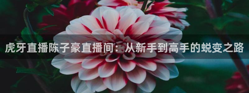 qy千亿球友体育：虎牙直播陈子豪直播间：从新手到高手的蜕变之路