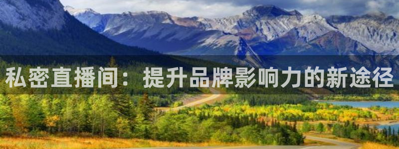 nba直播球友：私密直播间：提升品牌影响力的新途径