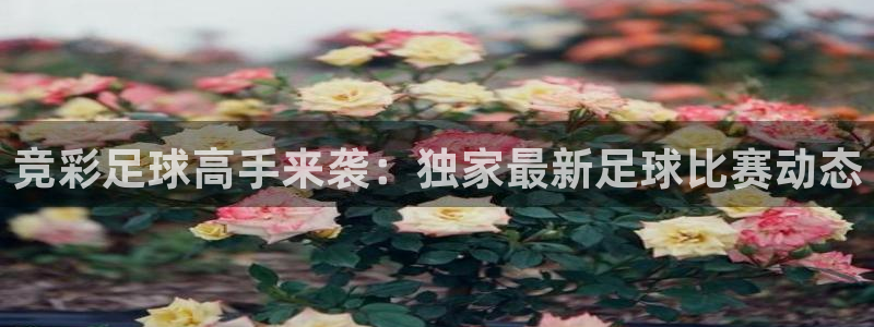 球友直播在线直播：竞彩足球高手来袭：独家最新足球比赛动态