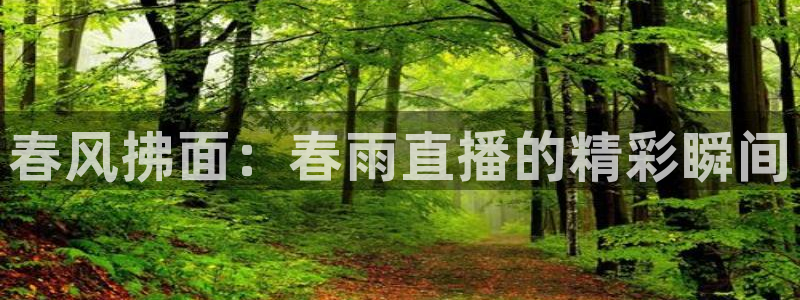 qy球友会体育网站：春风拂面：春雨直播的精彩瞬间